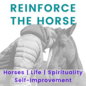 Reinforce the Horse Podcast